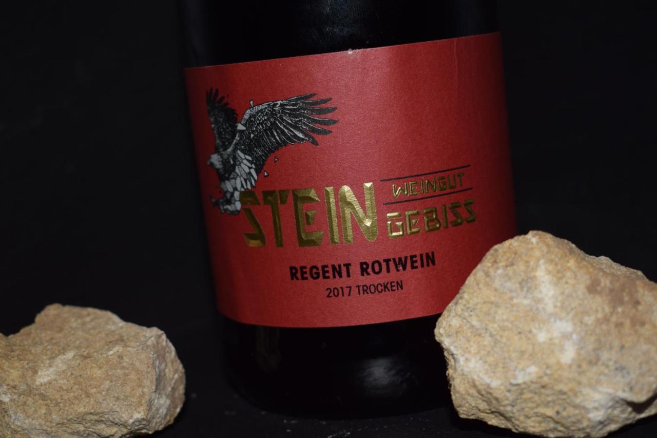 Billigheim-Ingenheim Ferienhaus & Weingut Am Steingebiss מראה חיצוני תמונה